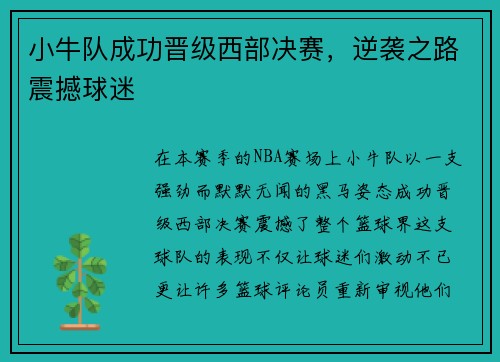 小牛队成功晋级西部决赛，逆袭之路震撼球迷